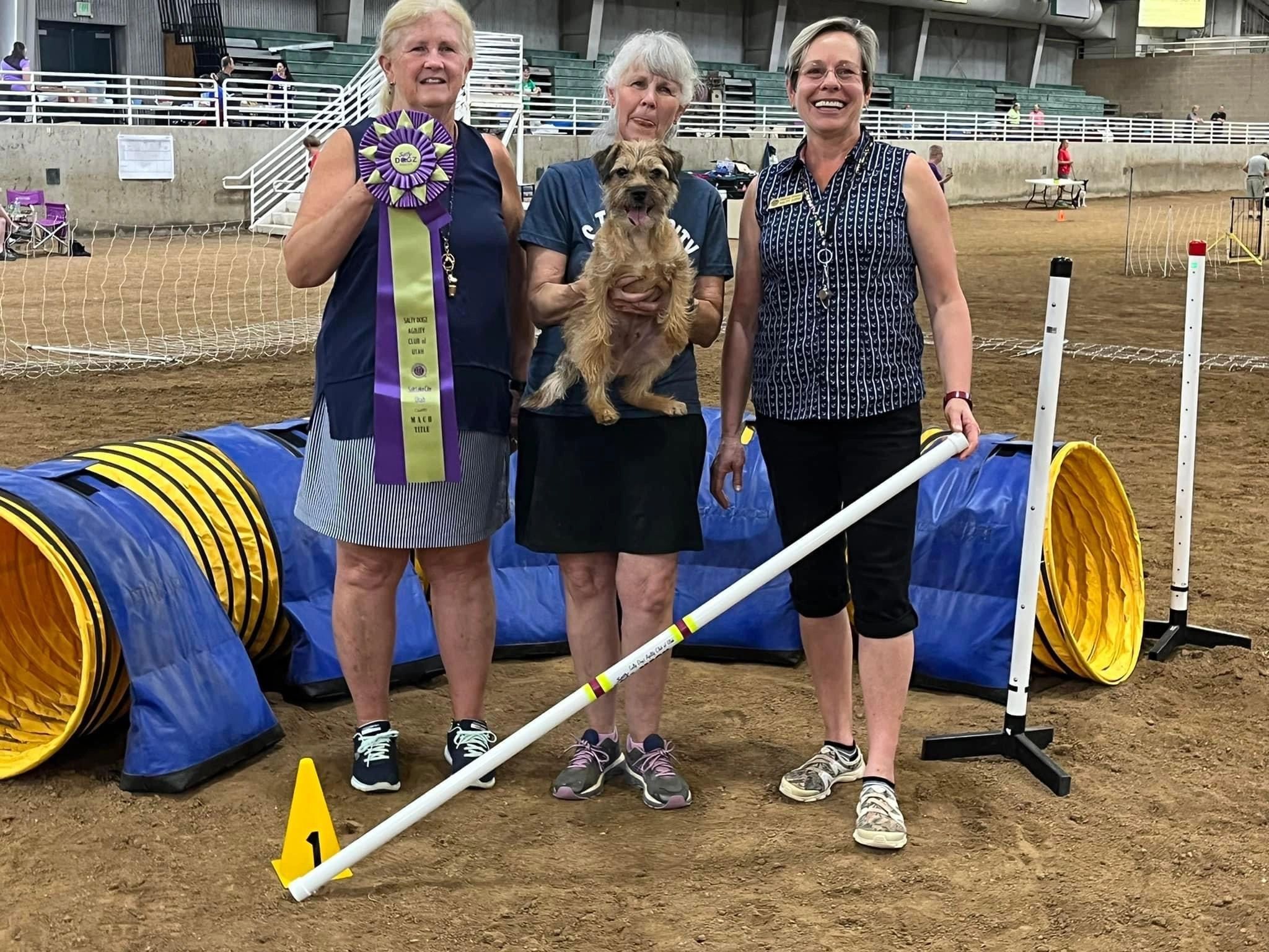 Handler and dog working together during a private training session with Paws N' Reflect
